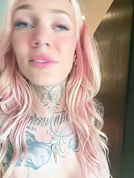 Stella-Kink Show Webcam