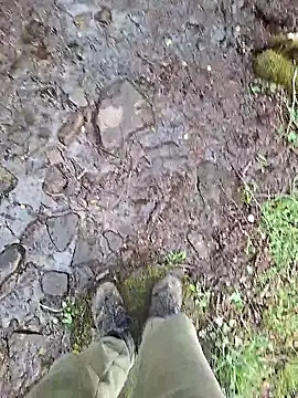 Show de webcam de FreezingTie850