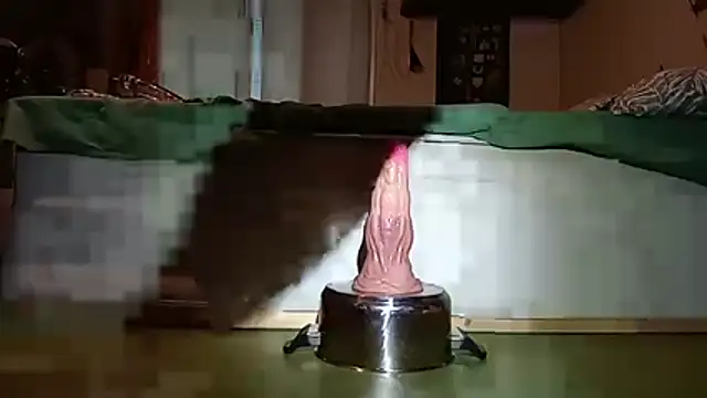 Candylainen Webcam Show