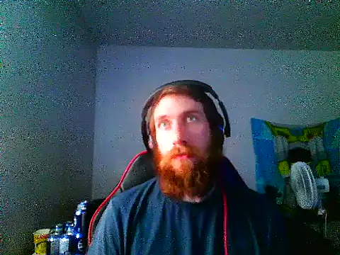 הופעת וובקאם של DenyingSanity