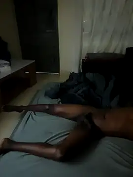 BOLT_TEMS Webcam-Show