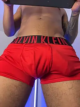 sendfer Show Webcam