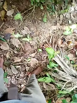 DulajThushara2468 网络视讯表演