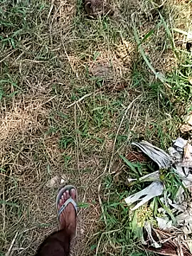 عرض كام DulajThushara2468