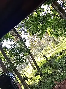 DulajThushara2468 Webcam Show