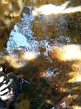 DulajThushara2468's Webcam Show