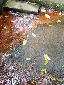 DulajThushara2468 Webcam-Show