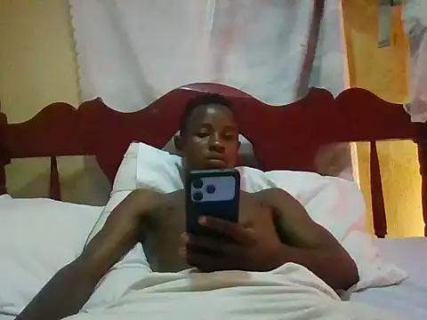 swthairydicn Webbikameraesitys