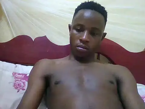 swthairydicn Webbikameraesitys