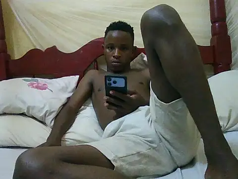 swthairydicn Webbikameraesitys