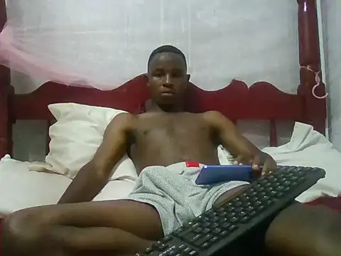 swthairydicn Webbikameraesitys