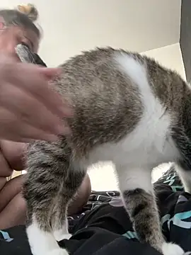 MikyVesela Obrolan Langsung XXX