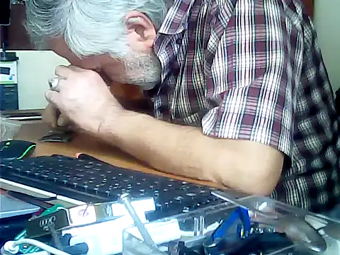Show Webcam de zormen355