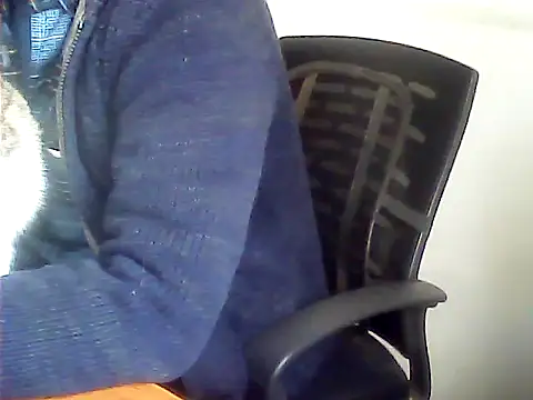 zormen355 webkamerás műsora