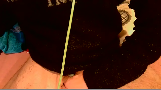 T0Yforeskinのウェブカメラショー