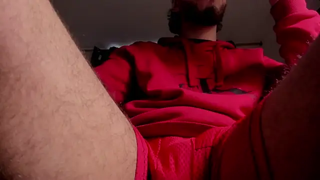 s_sven03n Webbikameraesitys