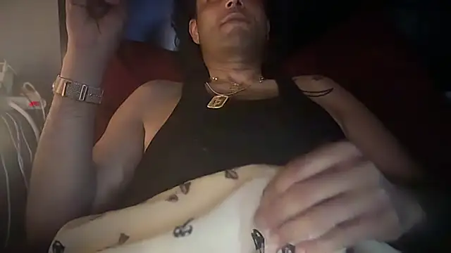 Show webcam de icebergslim281