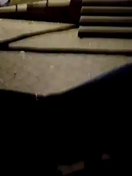 FeloBadn Webbikameraesitys
