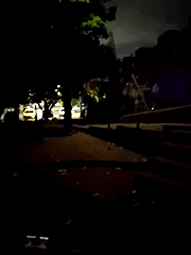 MrStreetGuy Pertunjukan Webcam