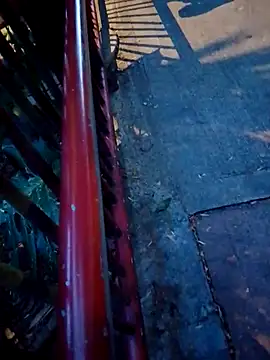 MrStreetGuy Pertunjukan Webcam