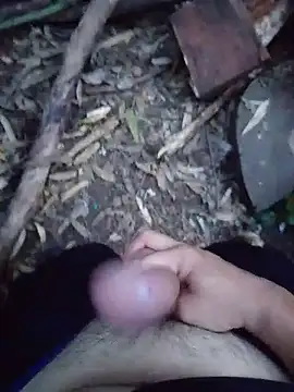 Show webcam de MrStreetGuy