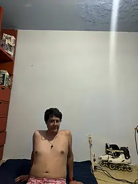 Show modela 3forall1 na web-kameri