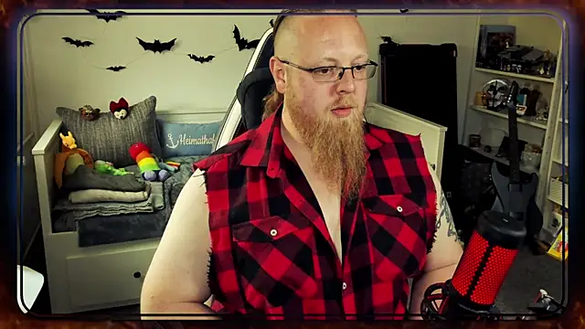 Speedlink3487 Webcam Show