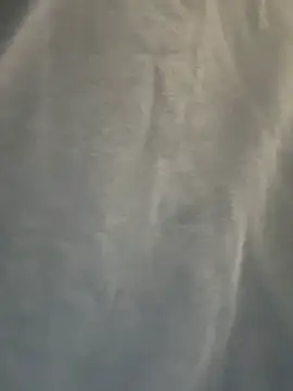 HaileyDiana élő chatszobája