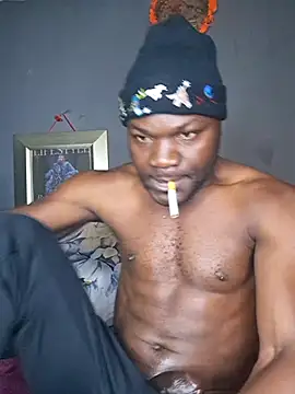 Petrossan Webbikameraesitys