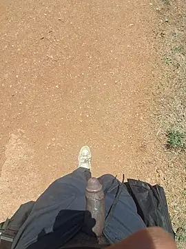 הופעת וובקאם של Petrossa