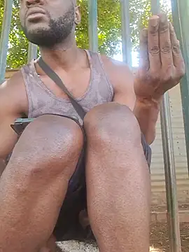 عرض كام Petrossa