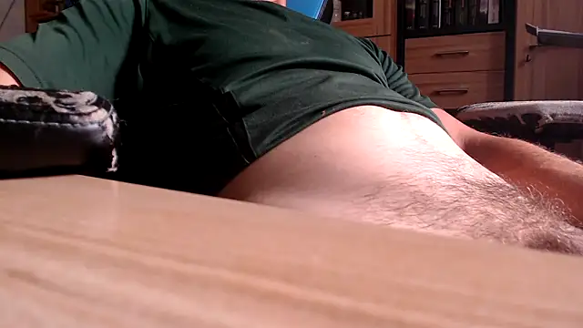 Horwein Show in webcam
