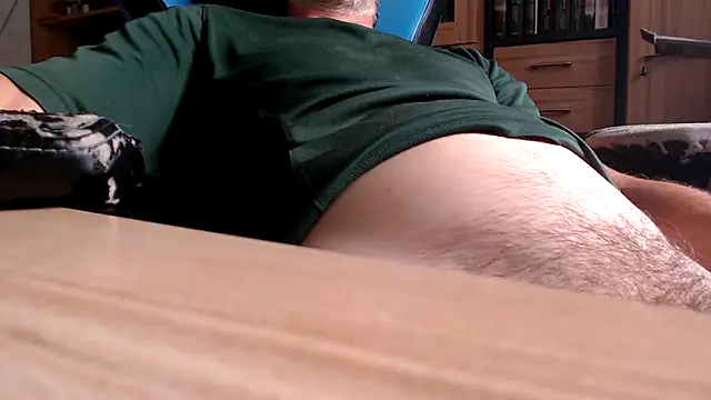 Horwein Webcam-Show