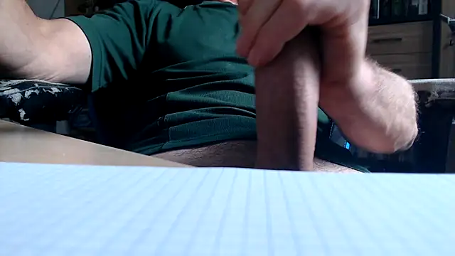 Horwein Pertunjukan Webcam