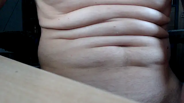 Show webcam de Horwein
