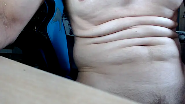 Horwein Webcam-Show