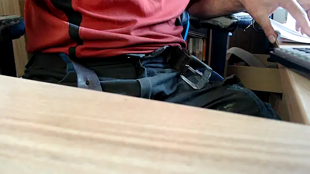 Horweinn Webbikameraesitys