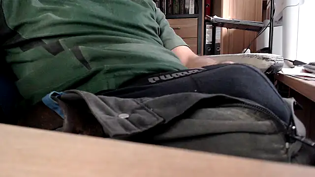 Horwein Webcam-Show