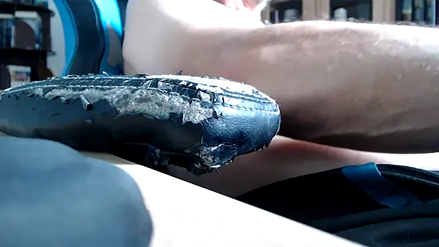 Horwein Webcam show