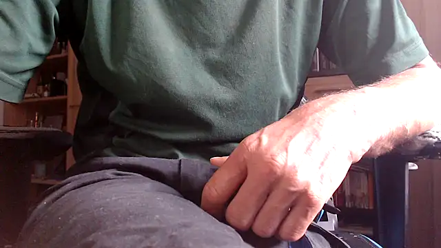 Horwein Webcam-Show