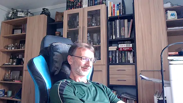 Show webcam de Horwein