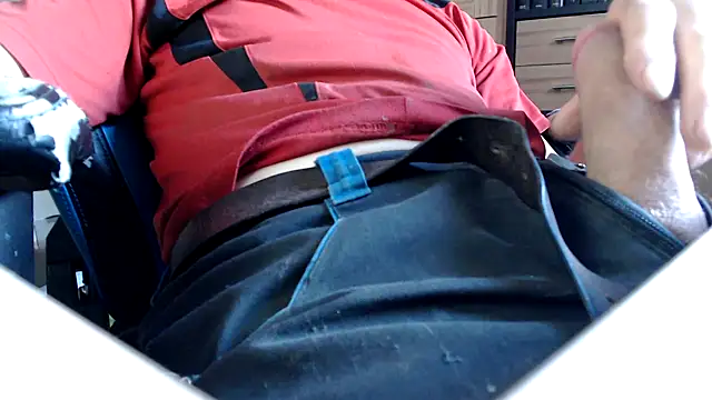 Horwein Webcam show