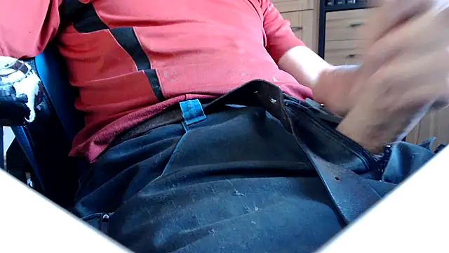Horwein Pertunjukan Webcam