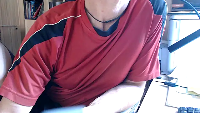Show Webcam de Horwein