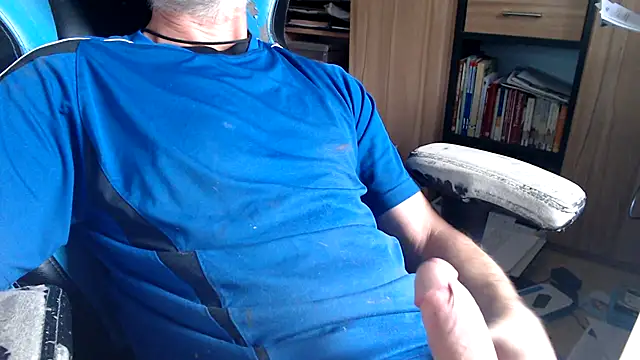 Horwein Webcam show