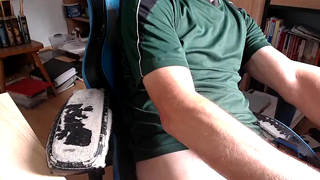 Horwein's Webcam Show