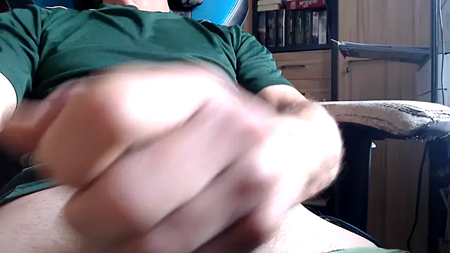 Horwein Webcam-Show