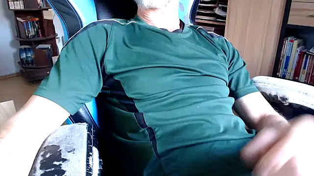 Horwein Webcam-Show