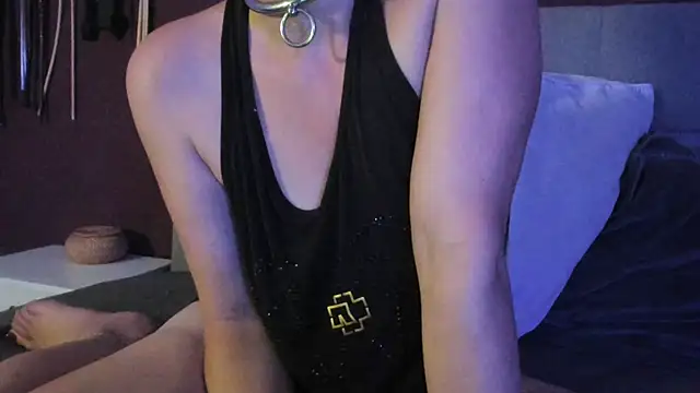 Biene Webcam-Show
