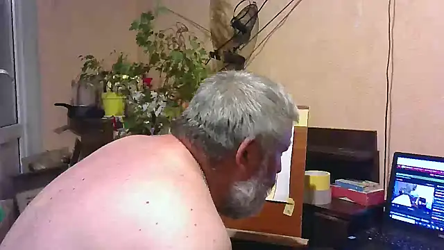 Art_Ass – webcam-show